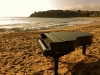 slam-grand-piano-shell-at-emerald-bay-beach